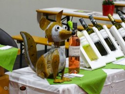 Messe Tulln am 27.03.2025